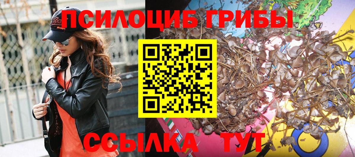 Новотроицк  Галлюциногенные грибы ЛСД  Вход с VPN 