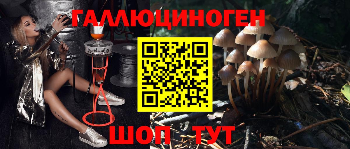 Псилоцибиновые грибы мицелий Новотроицк